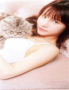 兔子舞蹈教学视频/在线观看成人A片免费播放