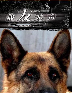 娜彰的风流地：继母的兼职