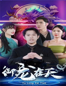 探长薇拉第十二季