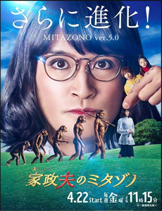 太姥娘娘与白茶仙子