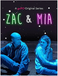 斯堪的纳维亚半岛的艺术