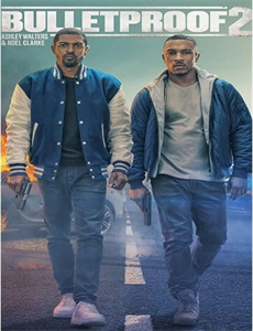 新网球王子秘密的王子